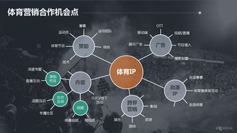 數據行業 互聯網數據中心（IDC）與199it互聯網數據服務的深度解析