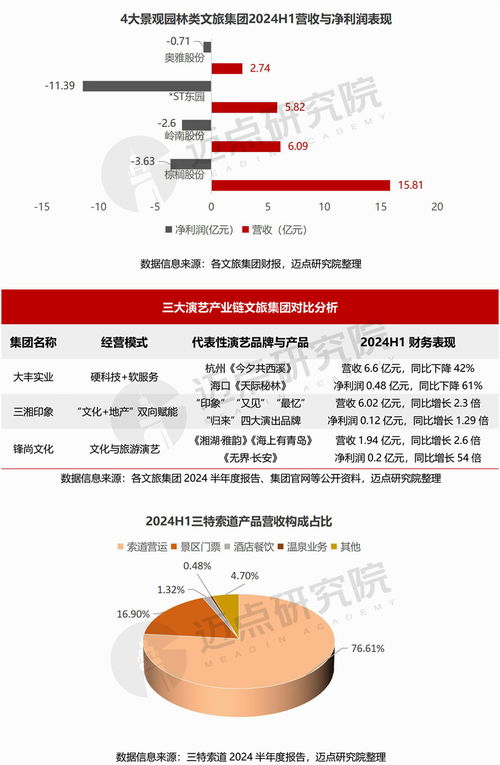2024上半年文旅集團財務(wù)分析報告
