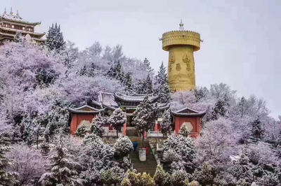 時(shí)光之禮中國旅游集團(tuán)迪慶旅游扶貧線路上線啟動(dòng)儀式在香格里拉獨(dú)克宗古城月光廣場舉行