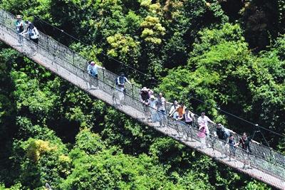 跨省游 啟封 三亞旅游業界喜迎 開放