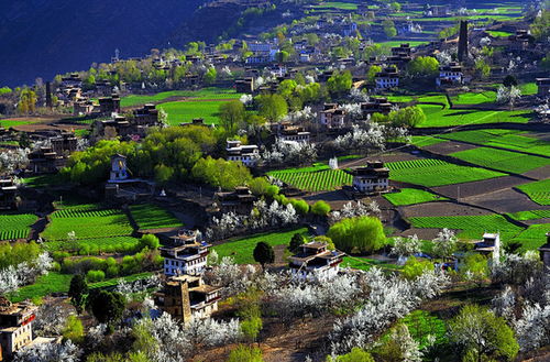 商務(wù)旅游險(xiǎn) 商務(wù)旅游是什么
