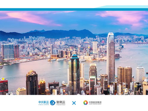 中興新云2020年度盤點