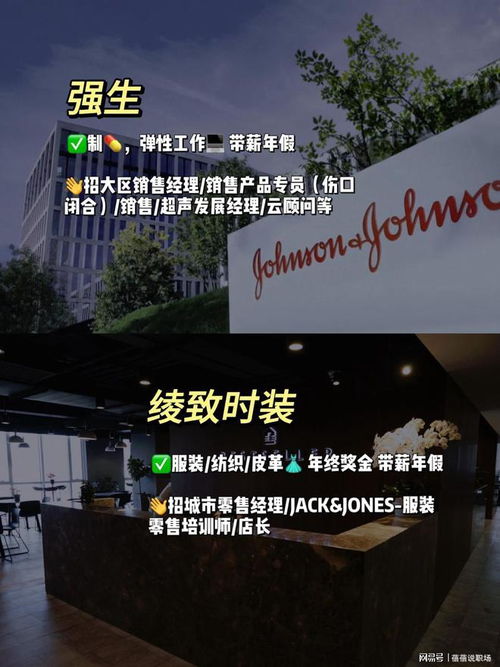 寶藏公司,濟南值得去的神仙外企